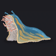 Corpse Slug