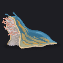 Corpse Slug
