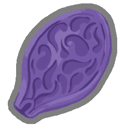 Ghost Seed