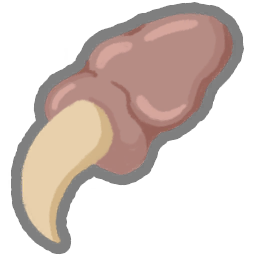 Pael's Claw